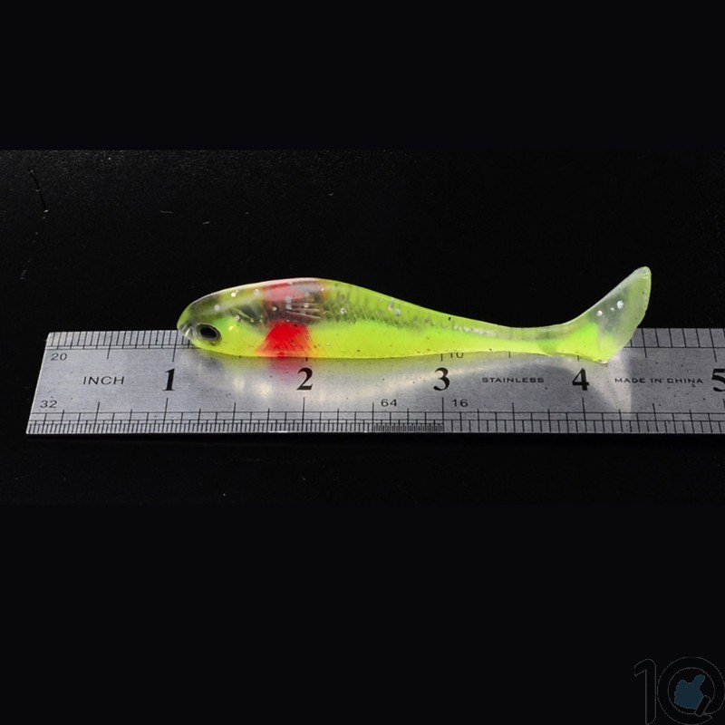 Buy Online India Fishing Bait Minnow 10 Pcs Pack | White ...