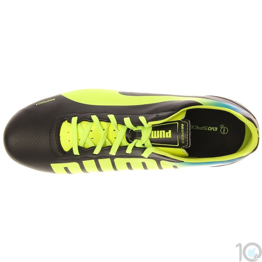 puma evospeed 4.2
