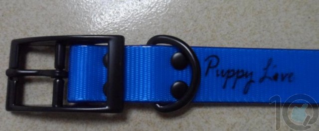 Puppy Love - TPU Coated Nylon Webbing Pet Collars - Fluorescent Blue - Large