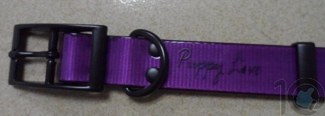 Puppy Love - TPU Coated Nylon Webbing Pet Collars - Fluorescent Purple- Large