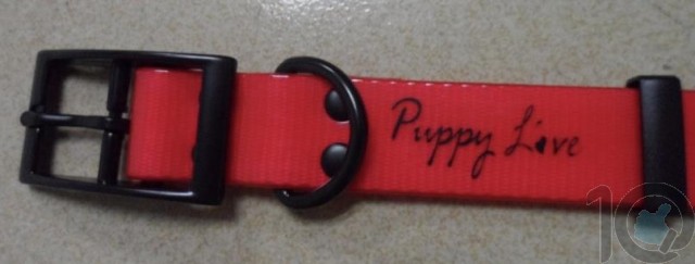 Puppy Love - TPU Coated Nylon Webbing Pet Collars - Red - Large