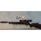 PX100 .177 in combo with extra orings and silencer and pellets | Buy Sell Used Airguns India
