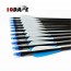 10Dare Arrows for Archery Spine500 with Replaceable Head | 10kya Archery store Online