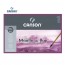 Canson Moulin du Roy - Satin Grain 4 Side Glued Pad 300 gsm | 10kya.com Art & Craft Supplies